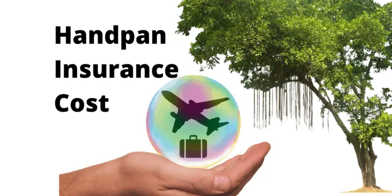 Handpan Insurance (Cost, Examples & Recommendations)