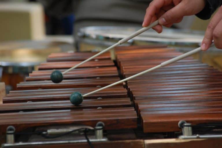 How Much Does a Xylophone Weigh? | 15 Examples to compare