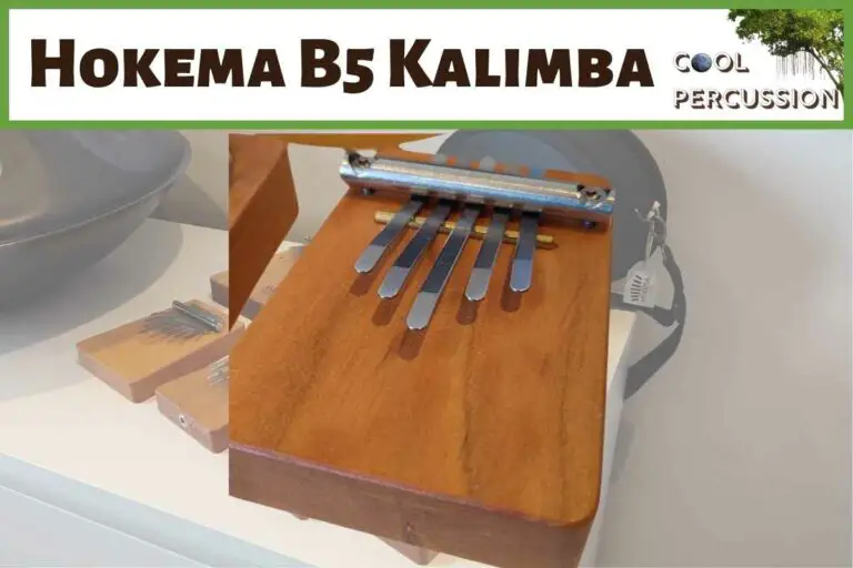 Hokema B5 Kalimba Review – The Best Starter Kalimba