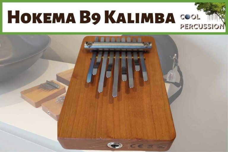 A Comprehensive Guide to the Hokema Kalimba B9 Electro